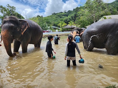 Green Elephant Sanctuary Park