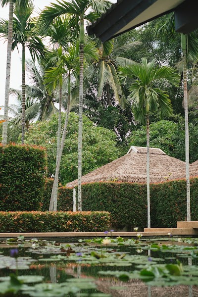 Oasis Spa (Tropical Retreat Spa, Laguna)